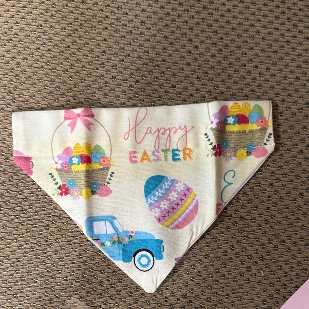 2 Small pet bandana